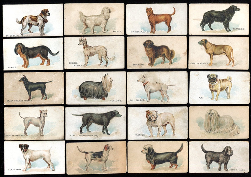 N163 Dogs of The World 23 Different