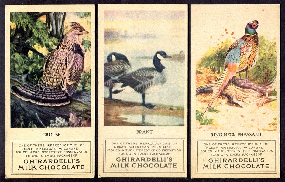 E161 Ghiradellis Milk Chocolate Bird Cards