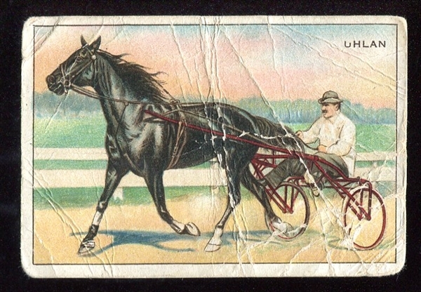 T227 Uhlan Champion Trotter
