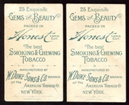 N111 Duke's Gems of Beauty 20 Different