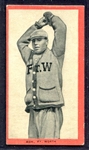 T210 Ash Fort Worth Series 3 Pink Border