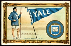T6 Murad College Series #25 Yale Rowing