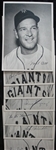 1948 New York Giants Team Issue Photo Pack 25 Different