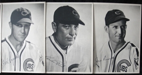 1939 Chicago Cubs Picture Pack Near Set 15 Different