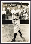 1930 Chicago Cubs Blue Ribbon Malt Premium Chas. Chick Tolson