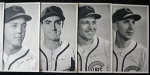 1941-44 Chicago Cubs Picture Pack Lot of 31 Assorted