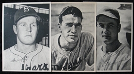 1940's Brooklyn Dodgers Picture Pack 23 Assorted