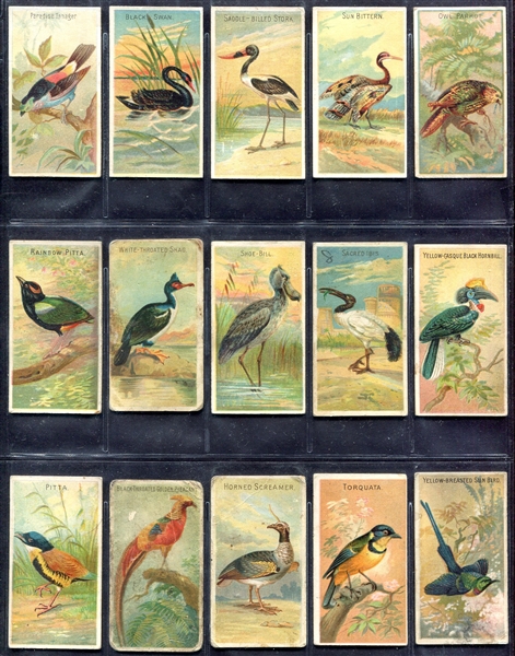 N5 Birds of the Tropics 15 Different