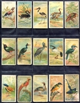 N5 Birds of the Tropics 15 Different