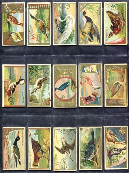 N13 Game Birds 20 Different