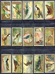N13 Game Birds 20 Different