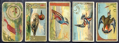 N13 Game Birds 20 Different