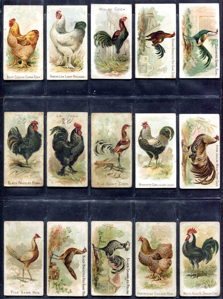 N20 Prize and Game Chickens 24 Different Plus an E31 