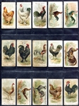 N20 Prize and Game Chickens 24 Different Plus an E31 