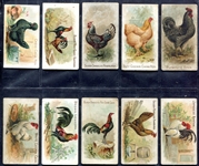 N20 Prize and Game Chickens 24 Different Plus an E31 
