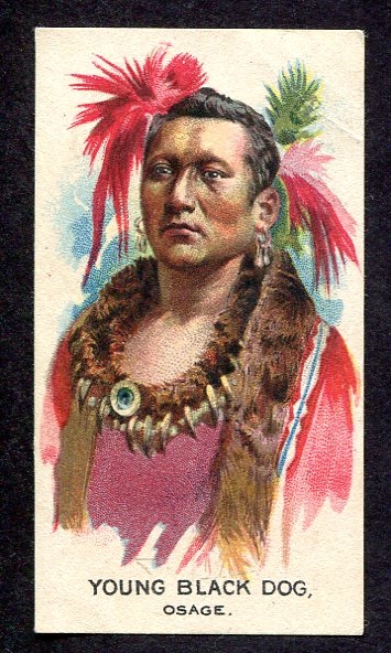 D46 Weber Bros. Indian Chiefs Young Black Dog