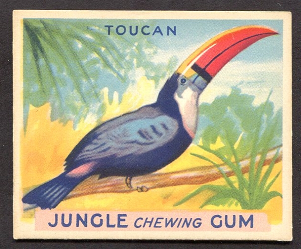 R78 Jungle Gum #41 Toucan Exmt+