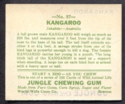 R78 Jungle Gum #57 Kangaroo Exmt+