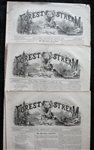 1874 Forest and Stream Newspaper 3 Complete Issues of Volume 2