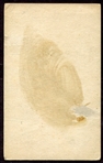 1938 Lone Ranger & Tonto Exhibits Card
