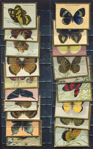 T48 Turkey Red Butterflies 19 Different