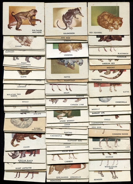 1951 Topps Animals of the World Complete Set of 100
