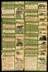 1953 Topps Tarzan & The She Devil Complete Set w/Viewer
